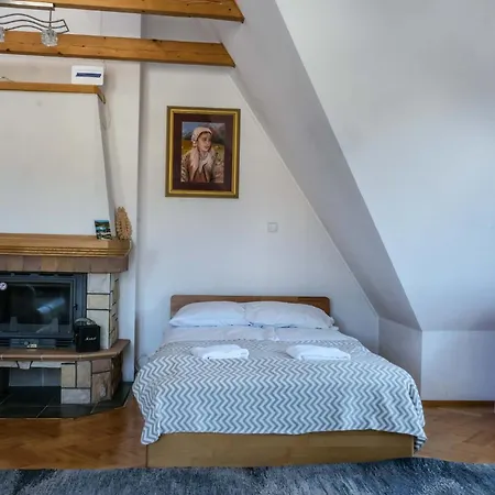 Wygodne Mieszkanie Zakopane *