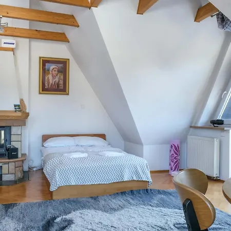 Wygodne Mieszkanie Zakopane Kościelisko